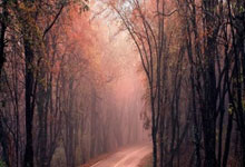 “睥睨群雄”猜打一最佳正确生肖,精选释义谜底解释!