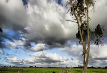 枣庄薛城:情系民生 邻里情长