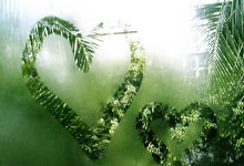 “睥睨群雄”猜打一最佳正确生肖,精选释义谜底解释!