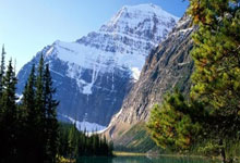 自鸣得意是什么生肖,释义谜团解释