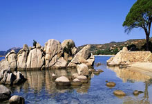 感人肺腑是指什么生肖,精粹词汇注解与探析